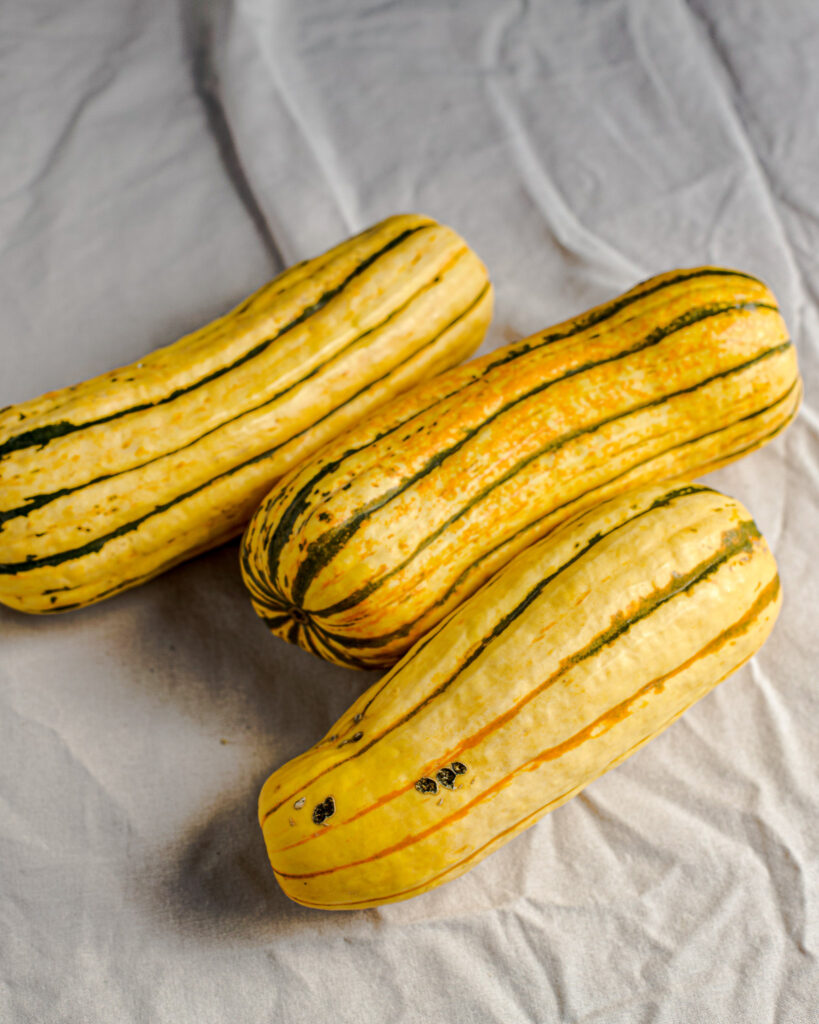 Delicate Squash